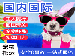 长海空运国际宠物托运 【国